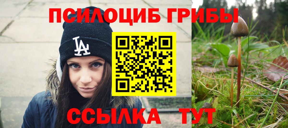 Галлюциногенные грибы MAGIC MUSHROOMS  Вход с VPN  Нурлат 