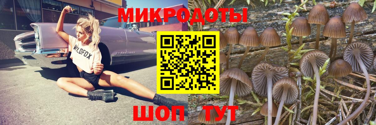 Галлюциногенные грибы MAGIC MUSHROOMS Нурлат